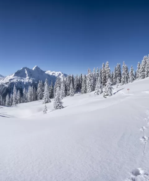 Station de ski Le Lac Blanc